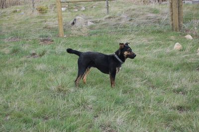 Timmy for Web Cut-Out