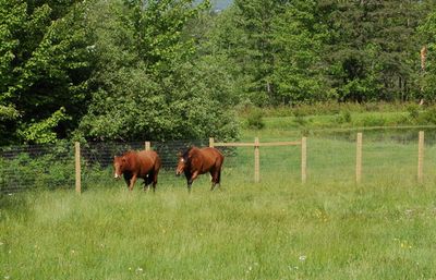 Lena and Nikki in Lancaster