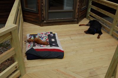 Bailey and Helen on deck