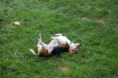 Widget rolling 1 Widget rolling 1