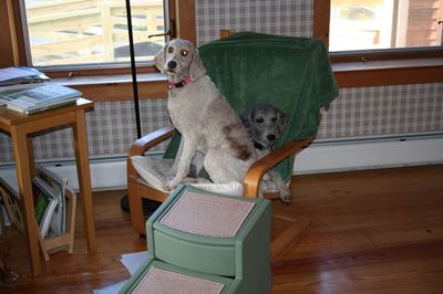 Molly and Pris in chair 1 Molly and Pris in chair 1