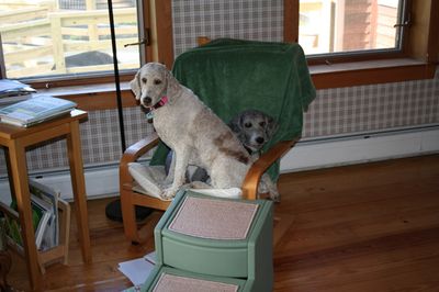 Molly and Pris in chair 5 Molly and Pris in chair 5