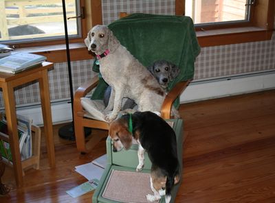 Molly and Pris in chair 4 Molly and Pris in chair 4