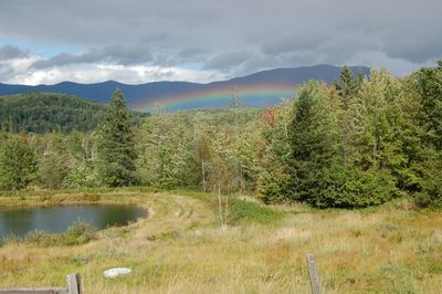 Rainbow over pond Rainbow over pond