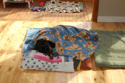 Helen on last morning