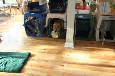 Holly with dish 1 Holly with dish 1