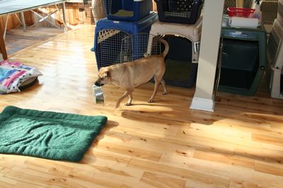 Holly with dish 2 Holly with dish 2