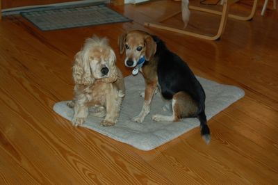 Suzi and Briggs Suzi and Briggs