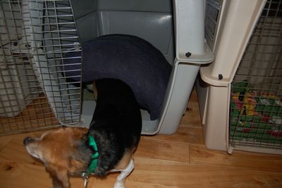 Widget mining 2 Widget mining 2