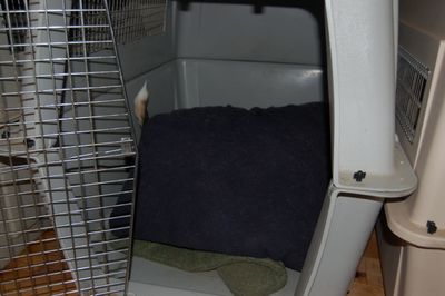 Widget mining 1 Widget mining 1