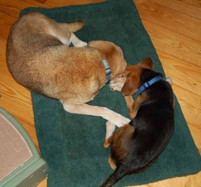 Briggs and Madison 2 Briggs and Madison 2