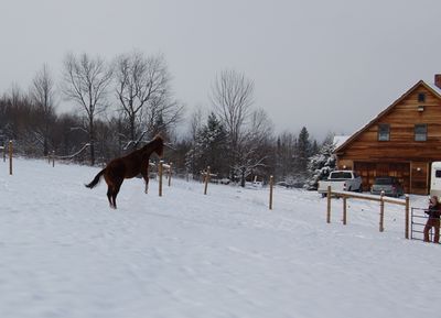 Cash in the air Cash in the air