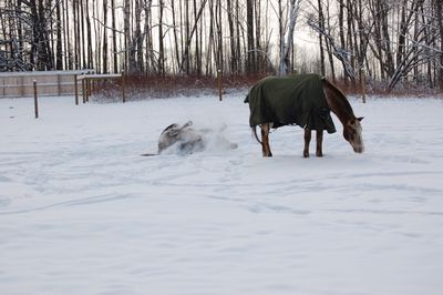 Cash rolling in snow 2 Cash rolling in snow 2