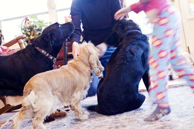 Suzi with friends 2 Suzi with friends 2