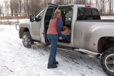 Brody on stretcher 2