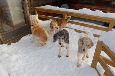 Weather wusses Weather wusses