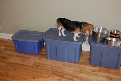 Widget on food tubs Widget on food tubs