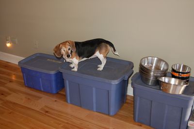 Widget on food tubs 2 Widget on food tubs 2