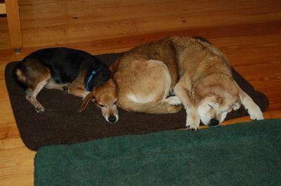 Briggs with Madison Briggs with Madison