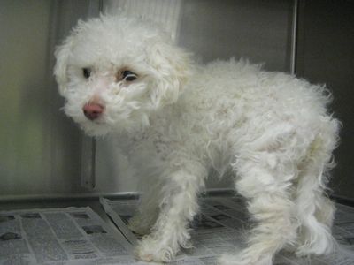 Megan McDuff Megan McDuff