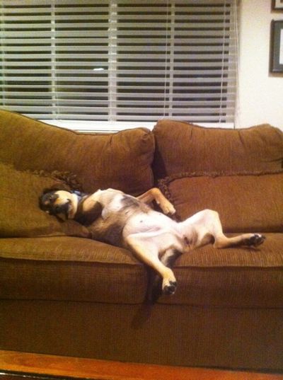 Ella on couch Ella on couch