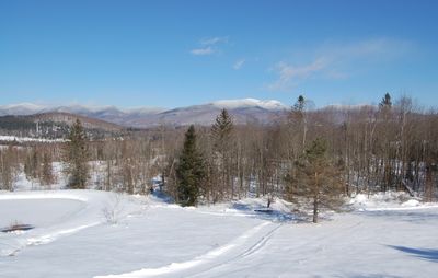 View from Office Feb 15 View from Office Feb 15