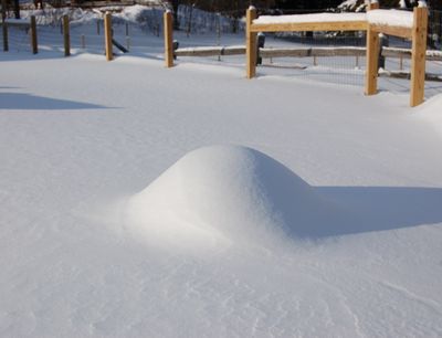 Igloo under snow Igloo under snow