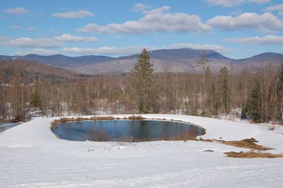 Pond March 19 Pond March 19