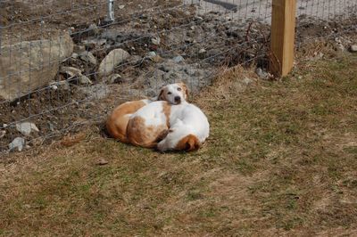 Spencer and Katie April 12 Spencer and Katie April 12