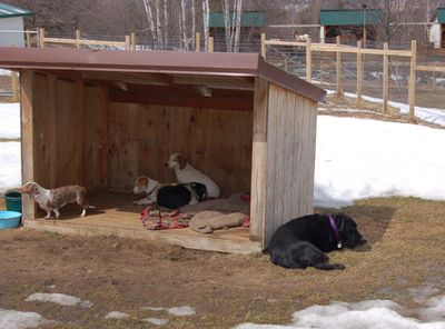 Allie and friends April 10