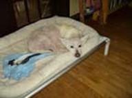 Chill'n for Kuranda Chill'n for Kuranda