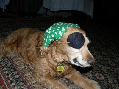 Snuggles with eye patch Snuggles with eye patch