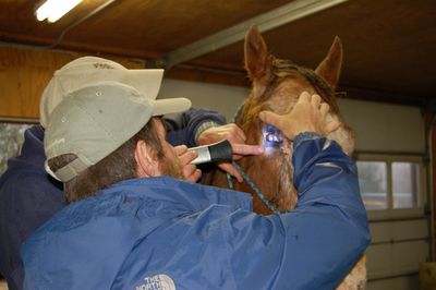 Bo with Dr Levine 2 Bo with Dr Levine 2