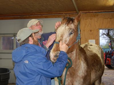 Bo with Dr Levine 1 Bo with Dr Levine 1