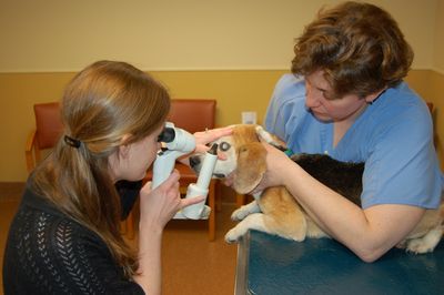 Avery with Dr Hoy 2 Avery with Dr Hoy 2