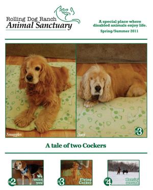 Spring 2011 Newsletter Cover