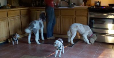 Molly and Pris at Kathy's