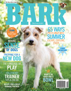 Cover_June_Aug_Bark65_144x186
