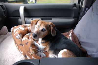 Widget in truck seat Widget in truck seat