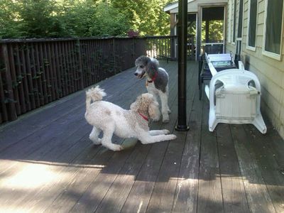 Molly and Pris 1 Molly and Pris 1