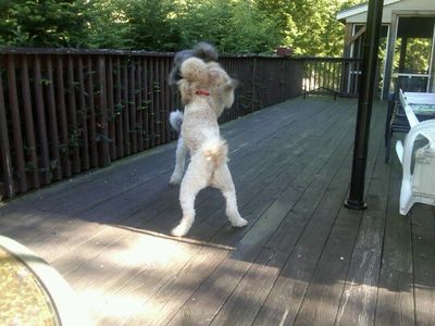 Molly and Pris 3 Molly and Pris 3