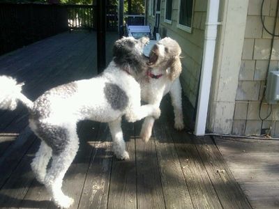 Molly and Pris 4 Molly and Pris 4