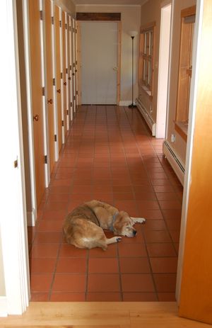 Madison in hallway Madison in hallway