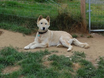 Mitch on ground Mitch on ground