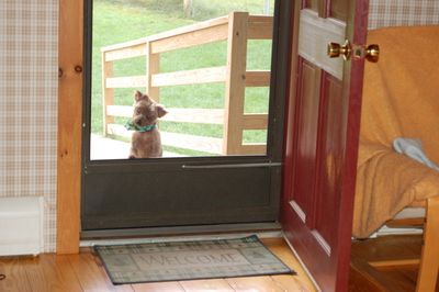 Clyde at door 1
