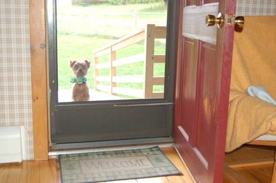 Clyde at door 2