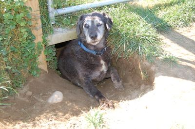 Samantha in hole 2 Samantha in hole 2