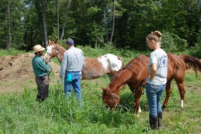 Bo's Last Day 1 Bo's Last Day 1