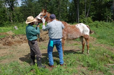 Bo's Last Day 2 Bo's Last Day 2