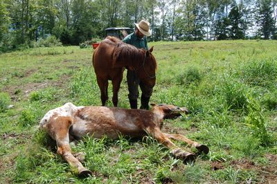 Bo's Last Day 3 Bo's Last Day 3